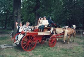 Kutschfahrt im Schlosspark Kutschfahrt im Schlosspark